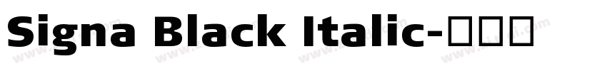 Signa Black Italic字体转换